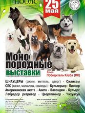 Выставка собак всех пород "Дальний Восток 2019.Весеннее шоу" во Владивостоке