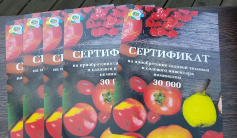 Лучших садоводов-огородников Владивостока назовут на городском празднике 7 сентября