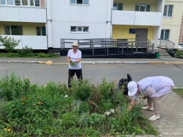 Взаимодействие СЕРЕБРА и ИНКЛЮЗИИ в развивающимся микрорайоне города Владивостока 4