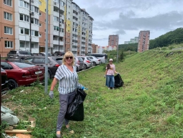 Взаимодействие СЕРЕБРА и ИНКЛЮЗИИ в развивающимся микрорайоне города Владивостока 1