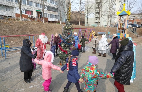 «ДВОРОВЫЕ ЕЛКИ» ПРОВОДЯТ В ПРИМОРЬЕ «СЕРЕБРЯНЫЕ» ВОЛОНТЕРЫ