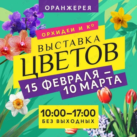 Выставка цветов "Орхидеи и Ко" во Владивостоке