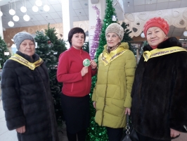 «Серебряные» волонтеры Владивостока продолжают акцию «Одобрено старшим поколением» 7
