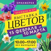 Выставка цветов "Орхидеи и Ко" во Владивостоке