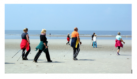 Всех желающих приглашают на выездной фестиваль «Скандинавская ходьба-2019»