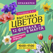 Цветочный фестиваль "Орхидеи и Ко" во Владивостоке c 12 февраля до 8 марта